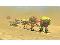 walking through the desert.jpg